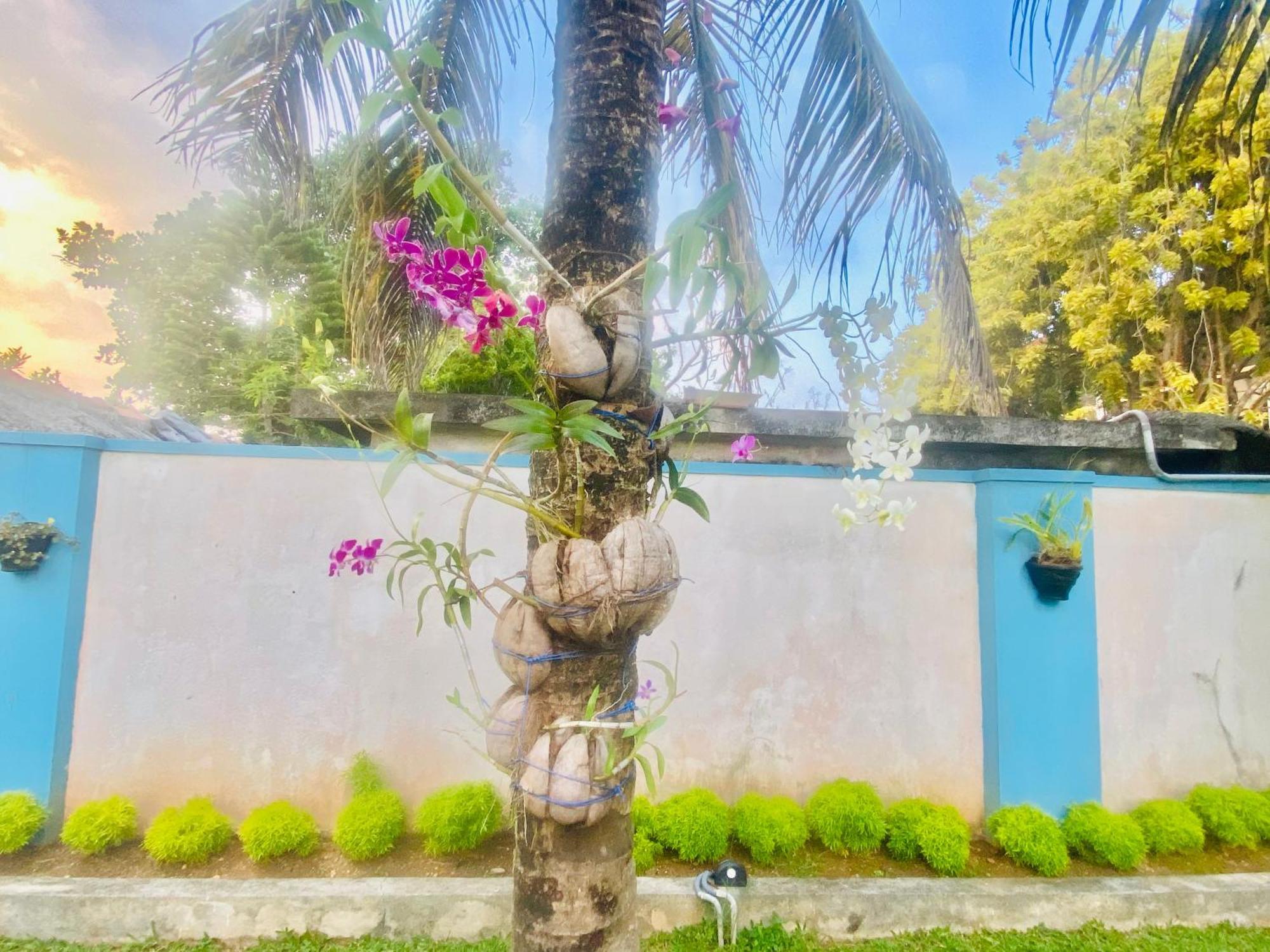 Villa Riverside Aluthgama Exterior foto